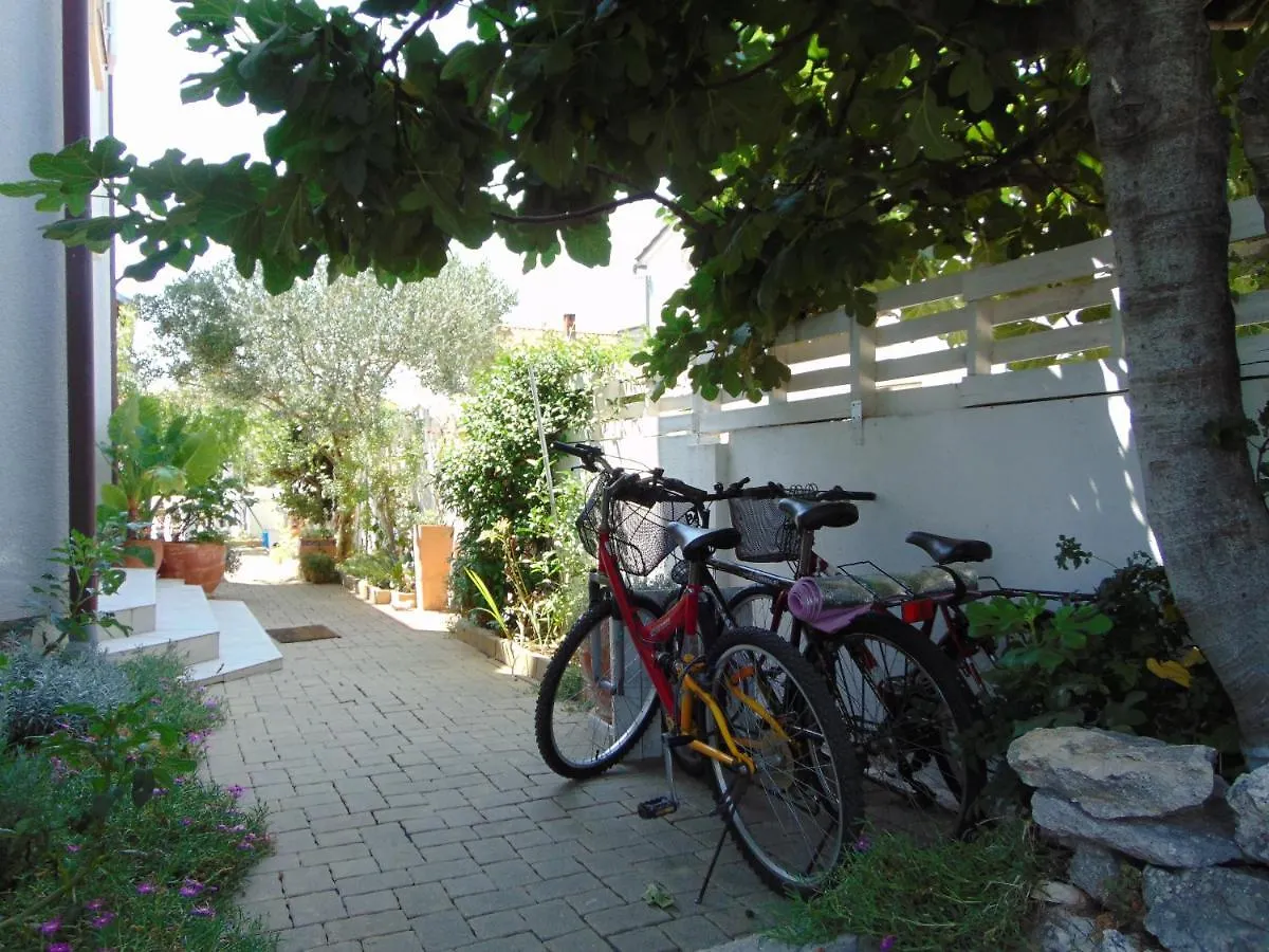 Apartments Petra Biograd Na Moru